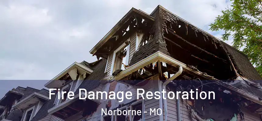 Fire Damage Restoration Norborne - MO