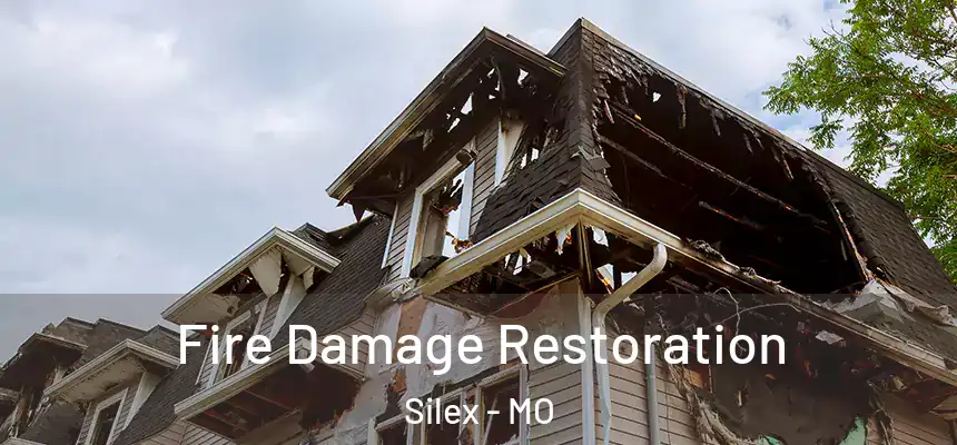  Fire Damage Restoration Silex - MO