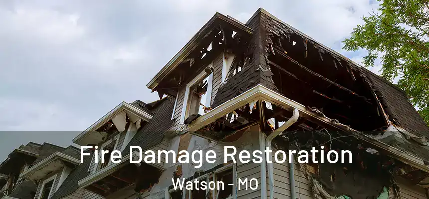 Fire Damage Restoration Watson - MO