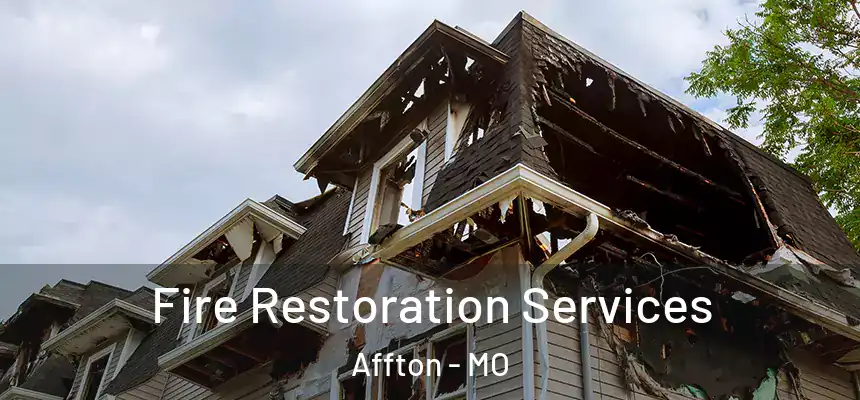  Fire Restoration Services Affton - MO