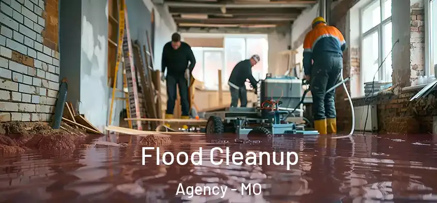  Flood Cleanup Agency - MO