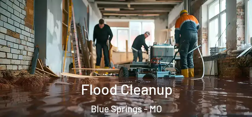  Flood Cleanup Blue Springs - MO