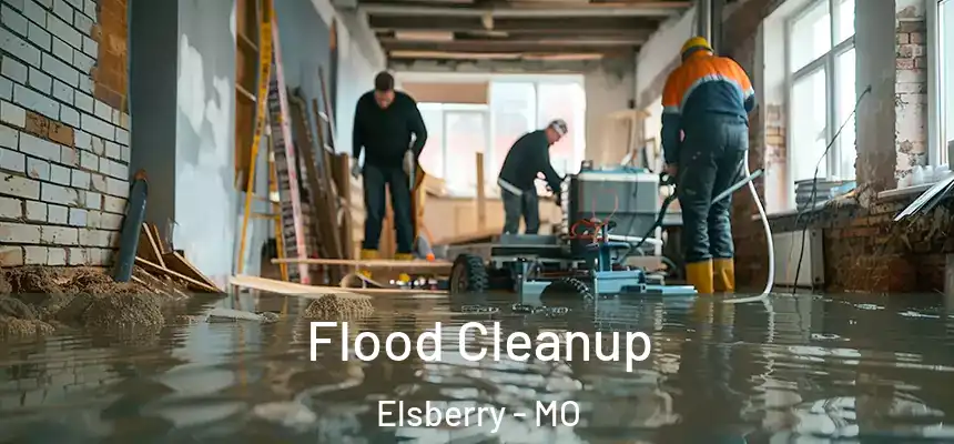  Flood Cleanup Elsberry - MO