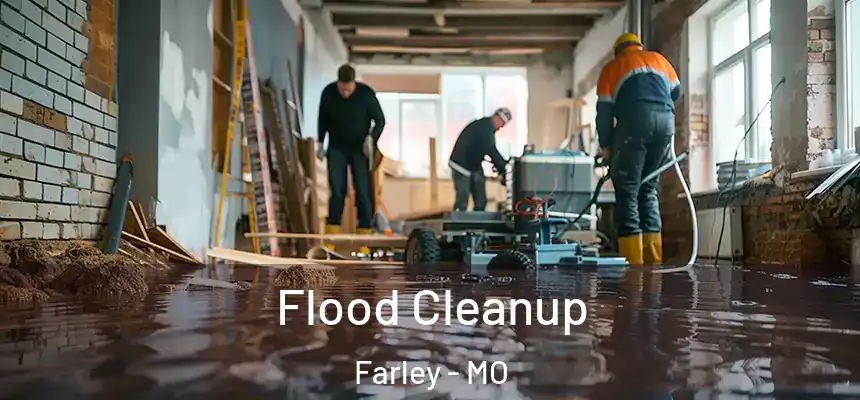  Flood Cleanup Farley - MO