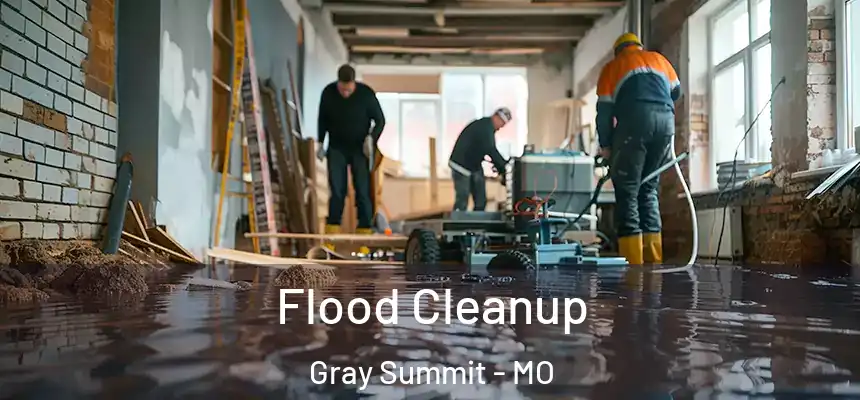 Flood Cleanup Gray Summit - MO