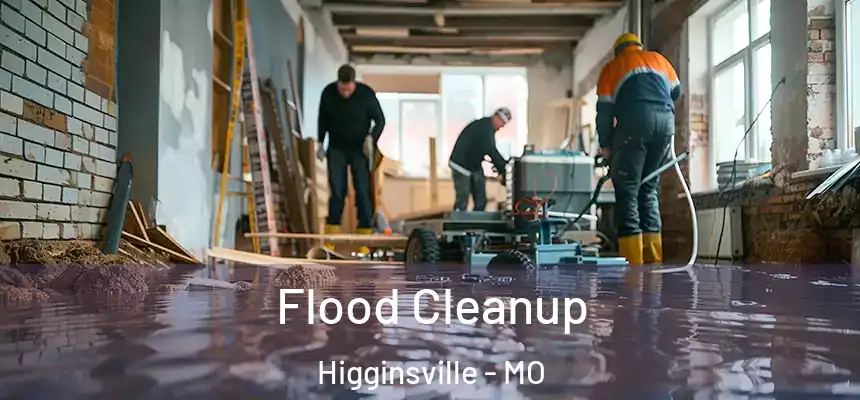  Flood Cleanup Higginsville - MO
