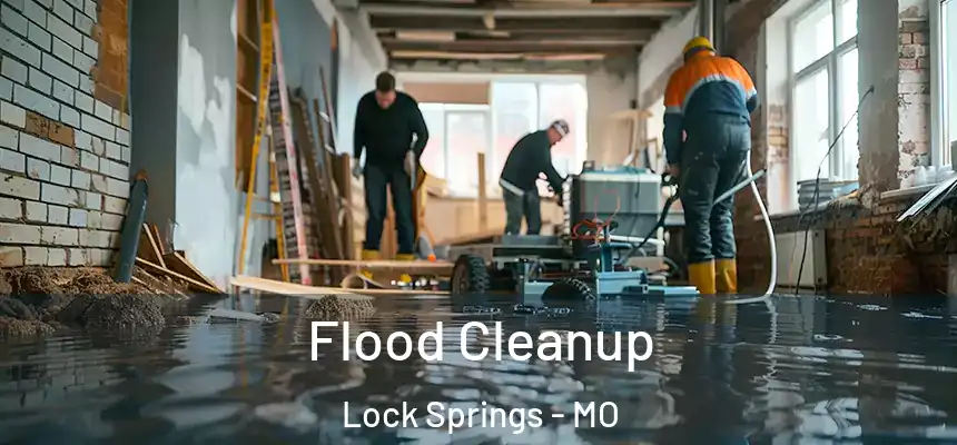 Flood Cleanup Lock Springs - MO
