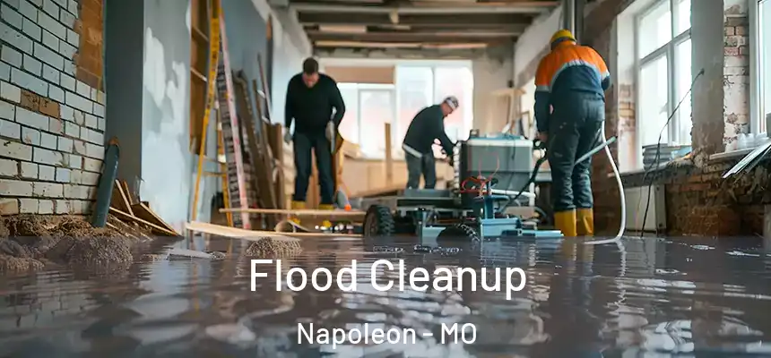  Flood Cleanup Napoleon - MO