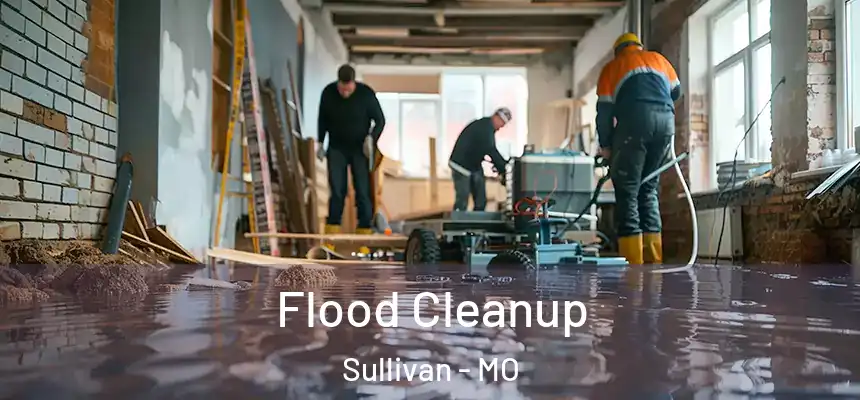  Flood Cleanup Sullivan - MO