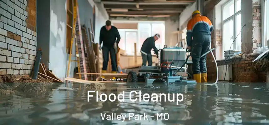  Flood Cleanup Valley Park - MO