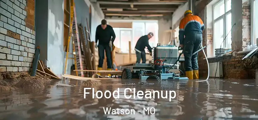  Flood Cleanup Watson - MO