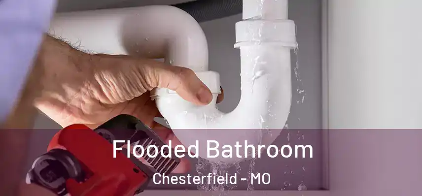 Flooded Bathroom Chesterfield - MO
