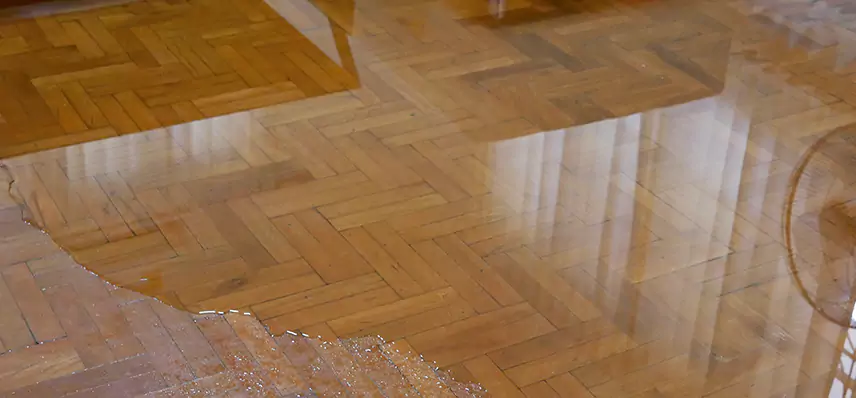 Laminate Wood Floor Water Damage Repair in Amity
