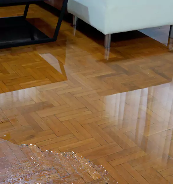 Trusted Emergency Water Restoration Company in Amity, MO