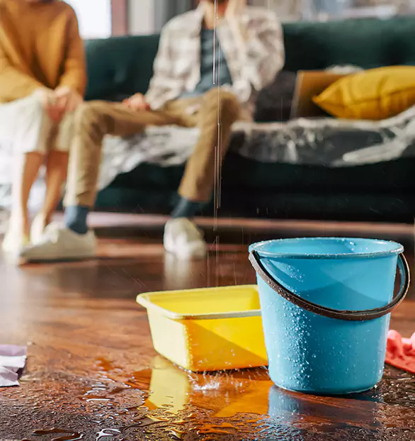 Reliable Water Mitigation Company in Amity, MO